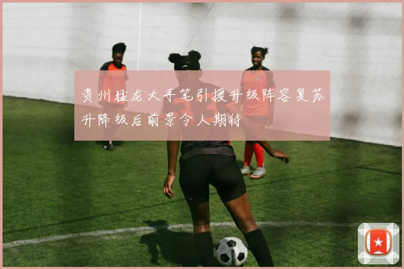 贵州猛龙大手笔引援升级阵容复苏升降级后前景令人期待